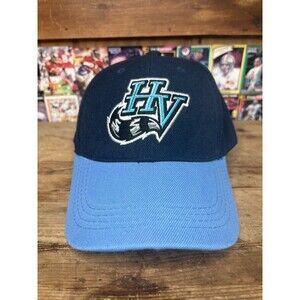 DI Sports Group Hudson Valley Hat Cap Hook And Loop MiLB Baseball Blue OFSM